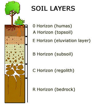 The soil layers for testing Walworth