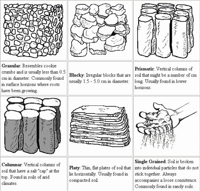 Soil Structure