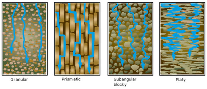 Structure and Water Movement